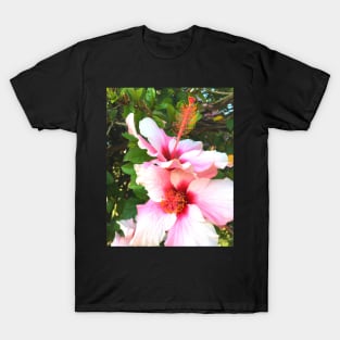 Exotic pink flowers T-Shirt